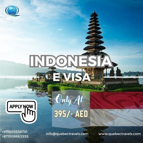 INDONESIA TOURIST E VISA